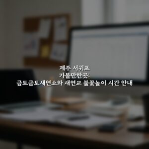 제주 서귀포 가볼만한곳: 금토금토새연쇼와 새연교 불꽃놀이 시간 안내