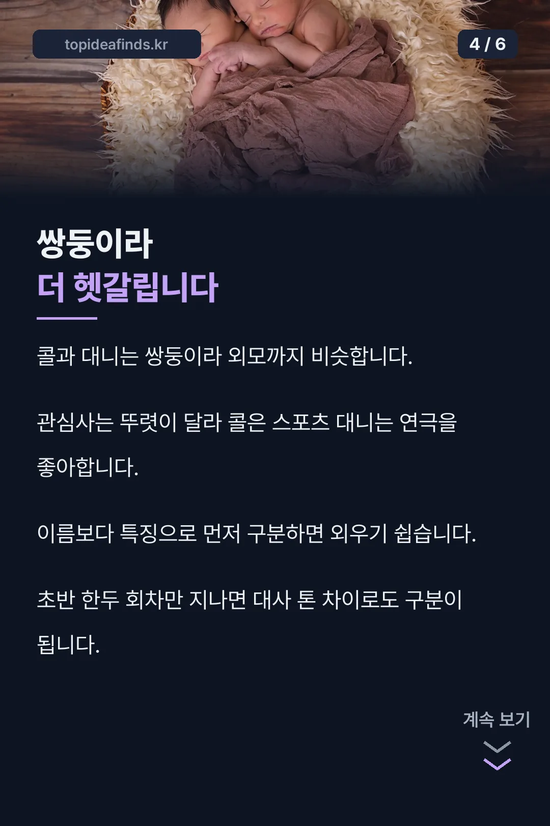 쌍둥이 형제 설명