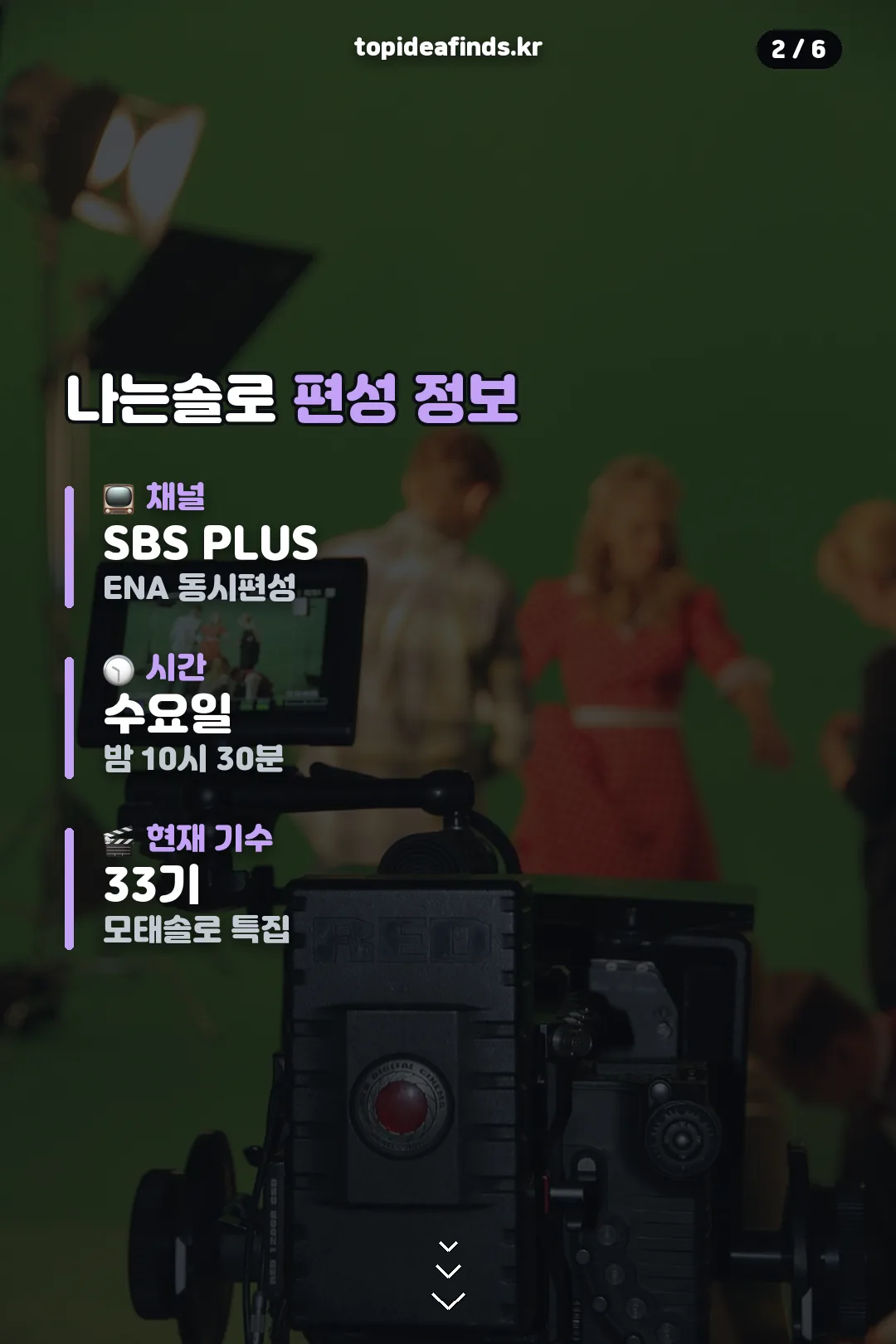 편성 정보 요약