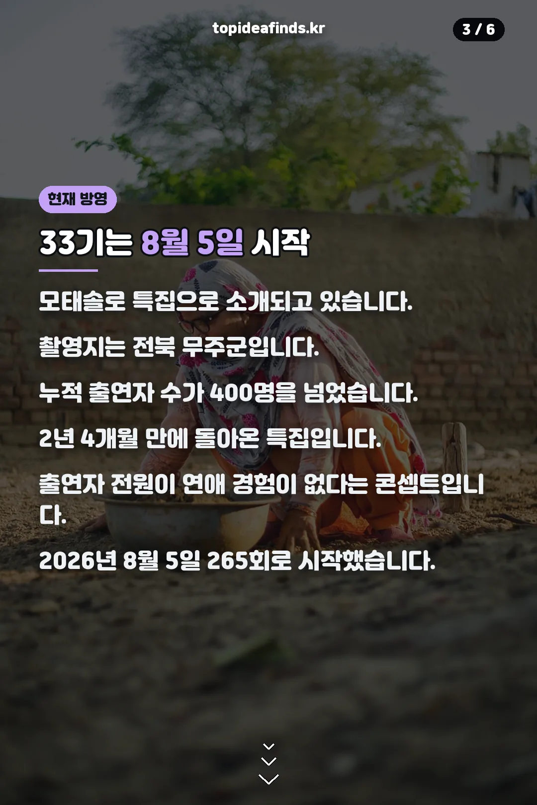 33기 현재 방영 정보