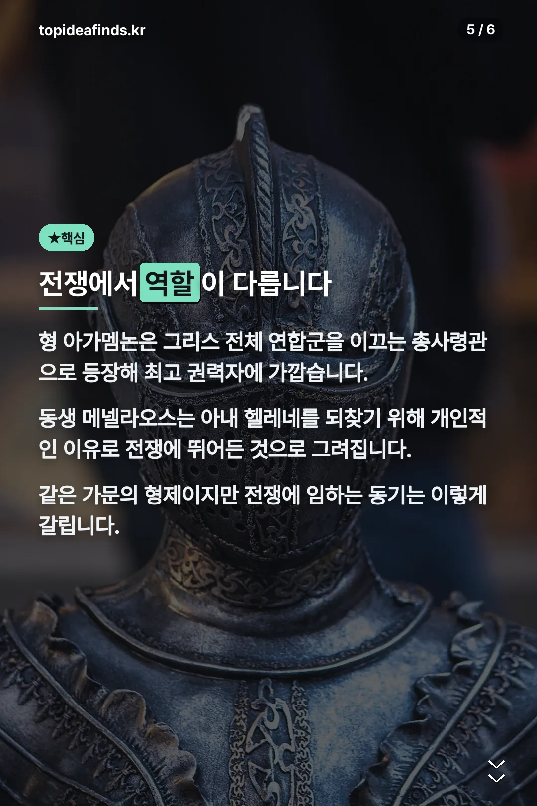 트로이 전쟁 속 역할