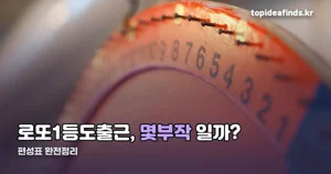 로또1등도출근 편성표 — 티빙 목요일, tvN 월화 두 트랙